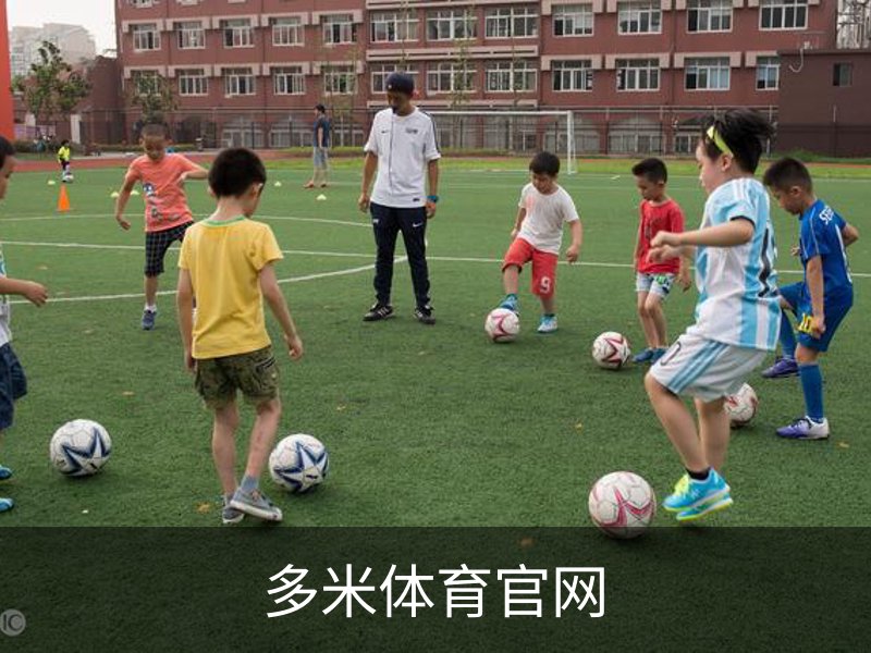 了解多米体育官网